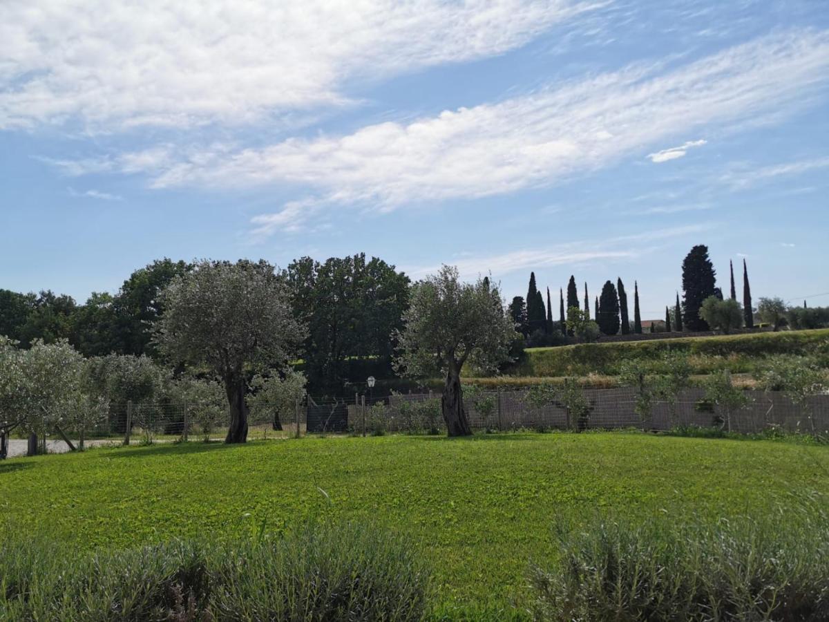 B&B Luna Nuova Sarzana Exteriér fotografie